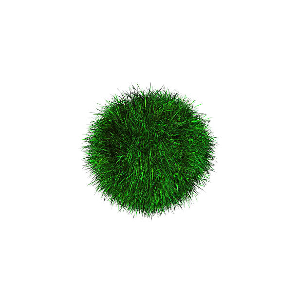 istock ball of grass 479595369