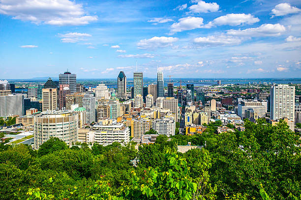 istock Montreal City in the Summer 479599382