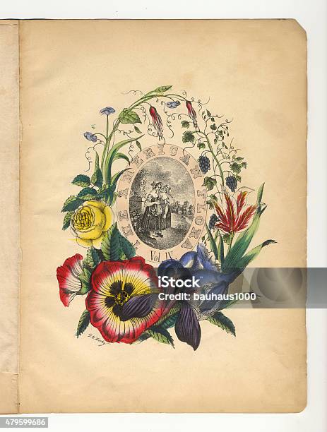 Handcolored Title Page Victorian Botanical Illustration Stock Illustration - Download Image Now