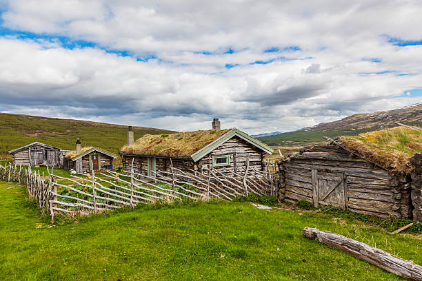 istock Idyllic traditional summer farm in the Norwegian mountains. 479599802