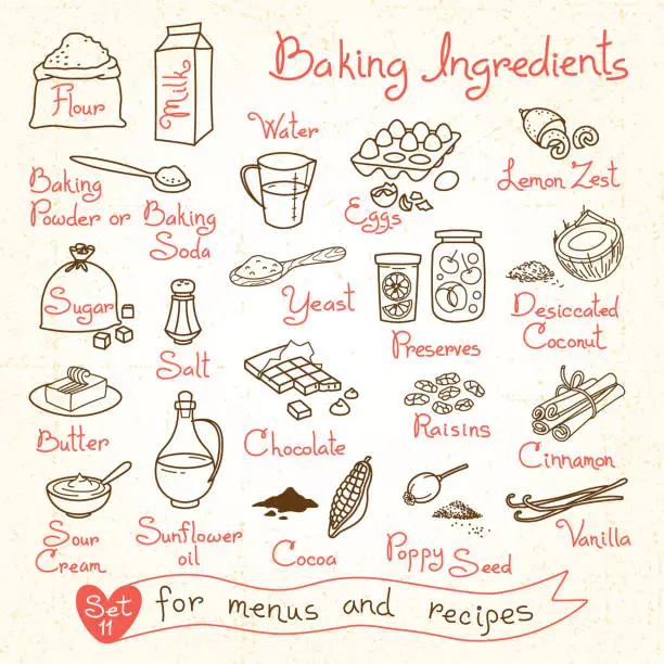 Vector illustration of Set drawings of baking ingredients for design menus, recipes