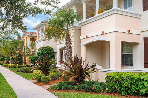 istock Neighborhood in the Tropics 479602408