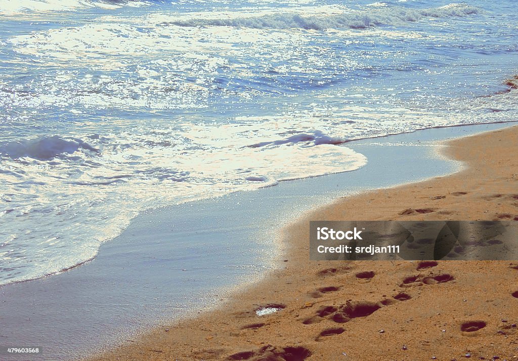 Sandy beach 2015 Stock Photo