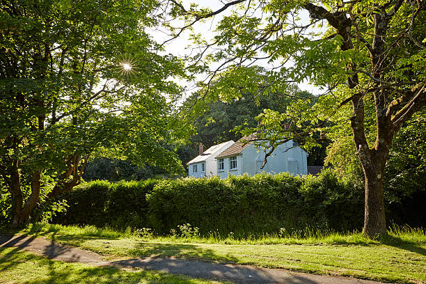 istock Sun shining in starburst on summer rural path 479603620