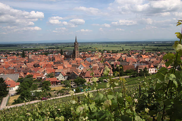 istock Village with vineyards 479604118
