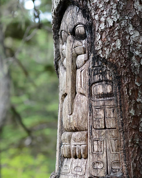 Tree carved by native Tlingit indians Tree carved by native Tlingit indians along a trail on top of Mt. Roberts in Juneau, Alaska, USA. pacific northwest totem poles stock pictures, royalty-free photos & images