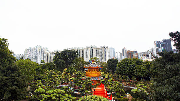istock Peace in the concrete jungle 479608198