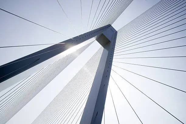 Photo of Cable-stayed bridge