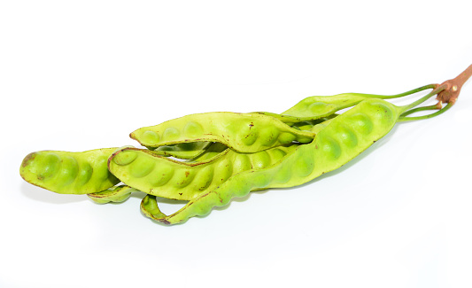 Tropical stinking edible beans on white background (Parkia Speciosa)