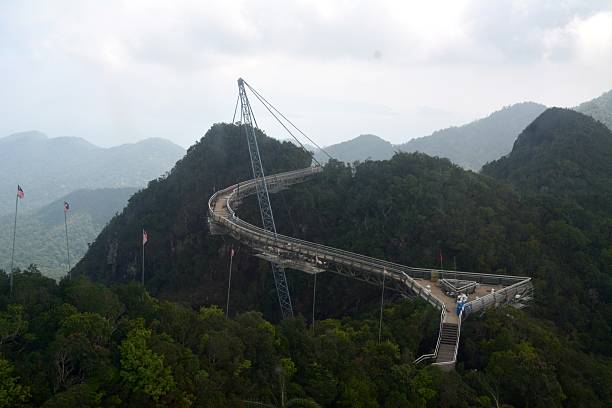 passerelle de langkawi, malaisie - tropical rainforest elevated walkway pulau langkawi malaysia photos et images de collection