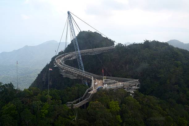 스카이 구름다리, 말레이시아 랑카위 - tropical rainforest elevated walkway pulau langkawi malaysia 뉴스 사진 이미지