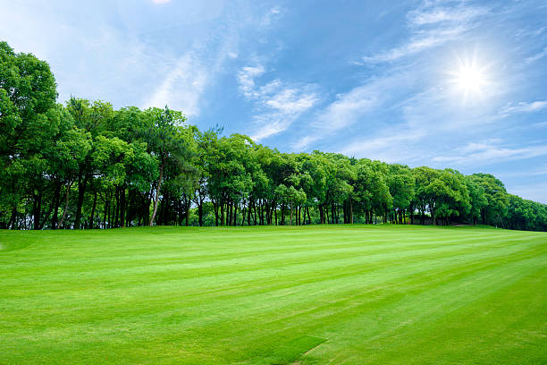 campo da golf - nebraska midwest usa farm prairie foto e immagini stock