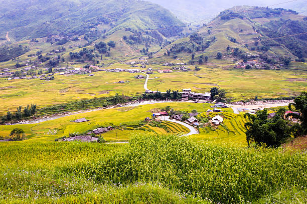istock Terraced rice field in riverside - Sapa town 479610903