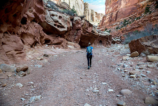 Woman Hiking in a Dry Riverbed stock photo