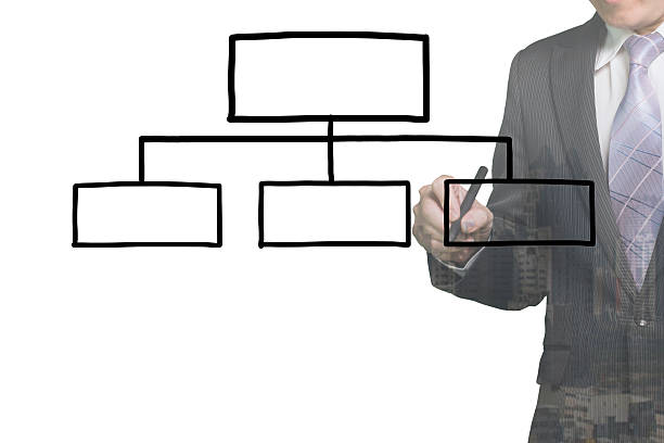 사업가 그림이요 빈 조직 차트 - organization chart decisions business business person 뉴스 사진 이미지