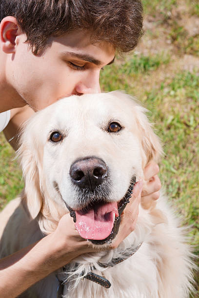 istock Golden retriever in the park 479616952