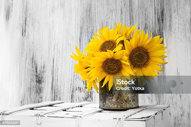 Background Still Life Flower Sunflower Wooden White Vintage Stock Photo - Download Image Now