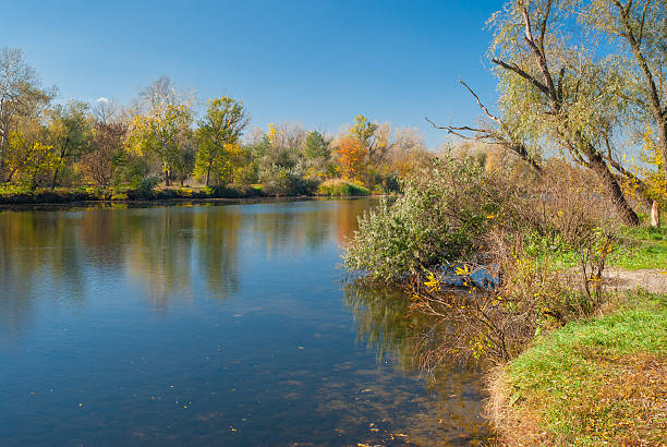 istock Small Ukrainian river Oril at fall season 479623258