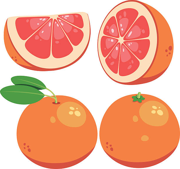 Grapefruit Cartoon Vector cartoon set of grapefruits grapefruit stock illustrations