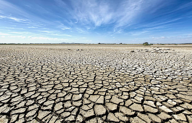 istock Australian Dry Outback and cracked earth 479629913
