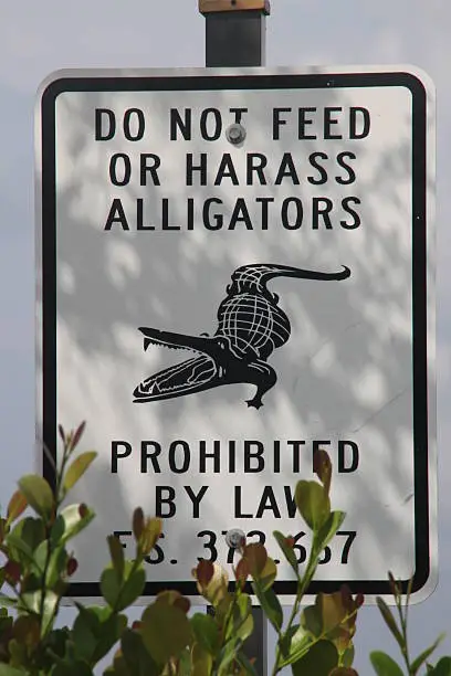 Alligator sign 