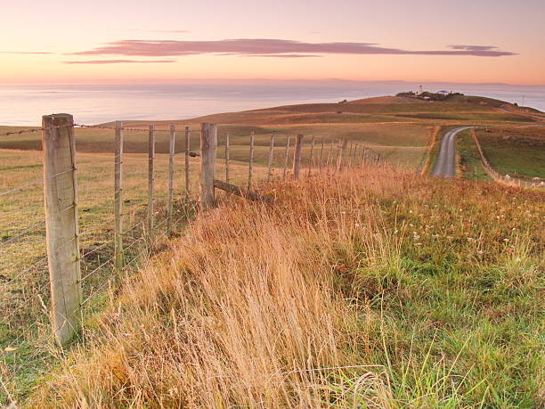 istock Lighthouse on the New Zealand 479630980