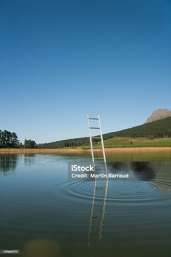 Ladder emerging from water with trees in background  Abstract Stock Photo