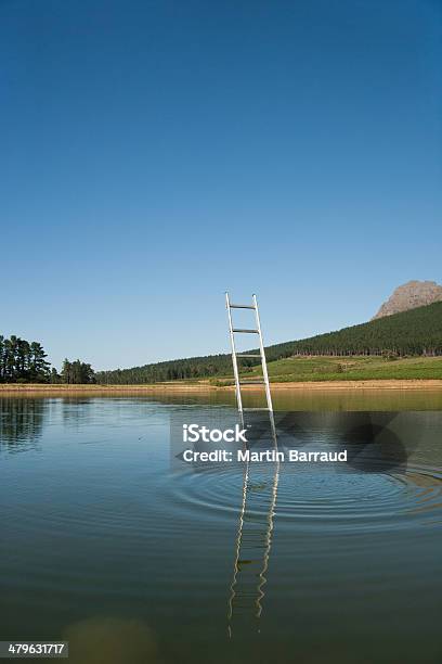 Ladder Emerging From Water With Trees In Background Stock Photo - Download Image Now