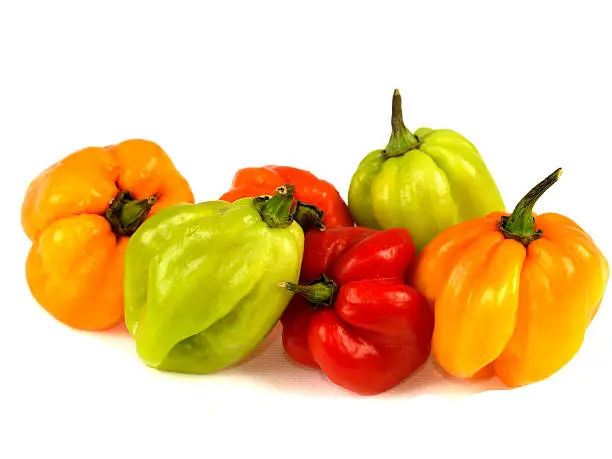 a DSLR royalty free digital image of a selection of colourful hot and spicy Scotch Bonnet chillies isolated against white, using as a cooking ingredient to spice up food and add a hot fiery taste to cooking, extremely hot chillies in different colours
