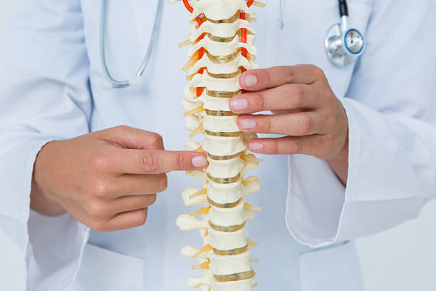 istock Doctor pointing an anatomical spine 479634486