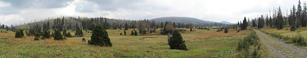 istock protected reserve between Breznik a Luzny 479641210