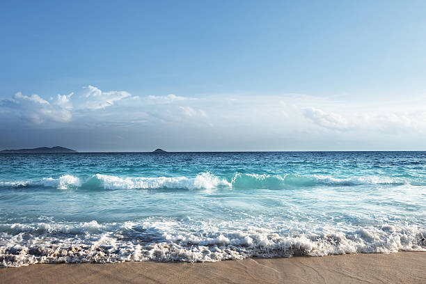 istock seychelles beach in sunset time 479641550