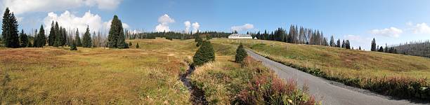 istock mountain meadow near Breznik 479647406