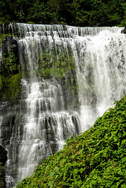 istock Burgess Falls in Tennessee 479647678
