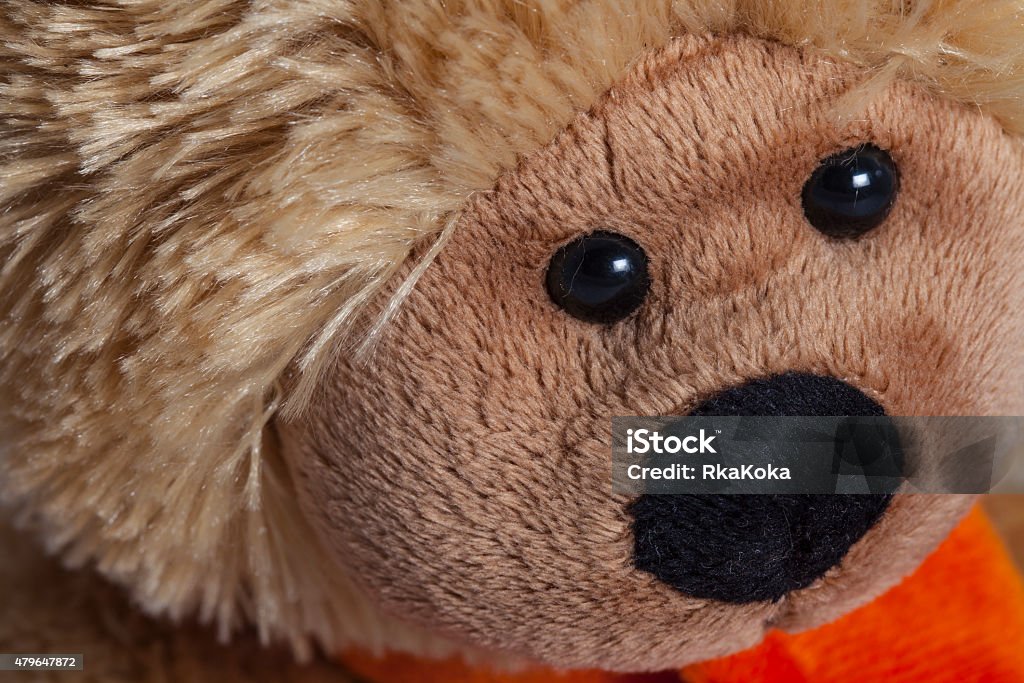 Teddy Bear Close up of a Teddy Bear's Face. 2015 Stock Photo