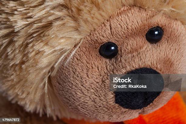 Teddy Bear Stock Photo - Download Image Now - 2015, Animal, Brown