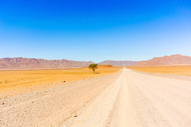 istock Desert landscape near Sesriem in Namibia. 479647964