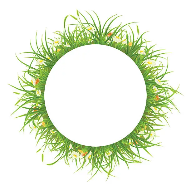Vector illustration of Round frame with grass and flowers