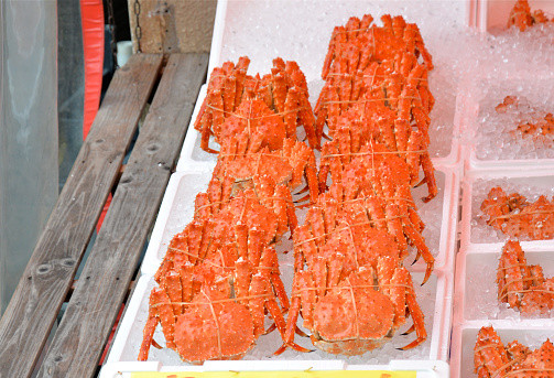 King crab at Hakodate morning market, Hokkaido, Japan