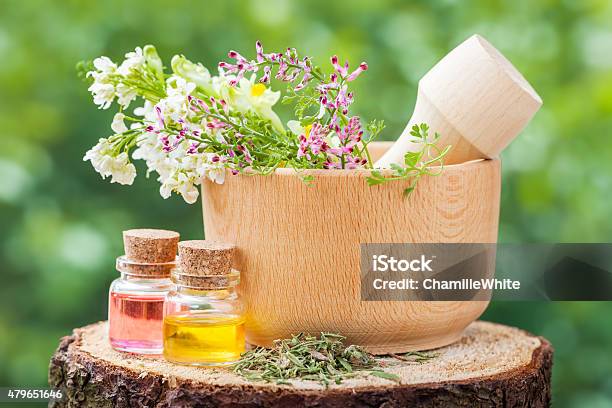 Mortar With Healing Herbs And Bottles With Essential Oil Stock Photo - Download Image Now