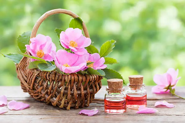 Rustic wicker basket with pink rose hip flowers and bottles of essential roses oil.
