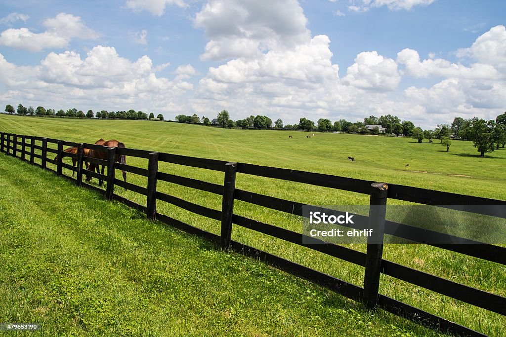 Kentucky Bluegrass Country - Lizenzfrei Ranch Stock-Foto
