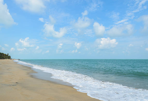 istock Tropical beach in Thailand 479657354