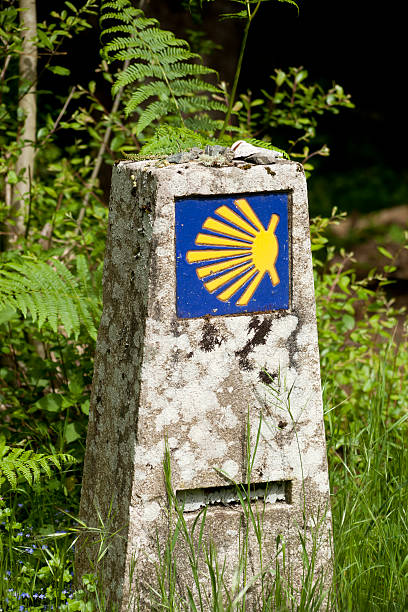 istock Camino de Santiago and tile with pilgrims shell 479657972