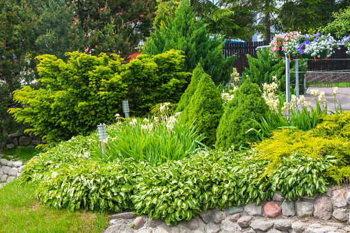 A beautiful landscaped yard and garden.