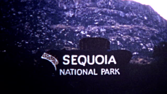 (8mm Vintage) 1966 Sequoia National Park Annual Pass California