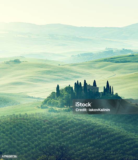 Early Spring Morning In Tuscany Italy Stock Photo - Download Image Now - 2015, Agricultural Field, Agriculture
