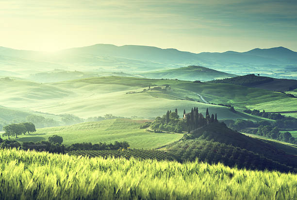 istock Early spring morning in Tuscany, Italy 479658862