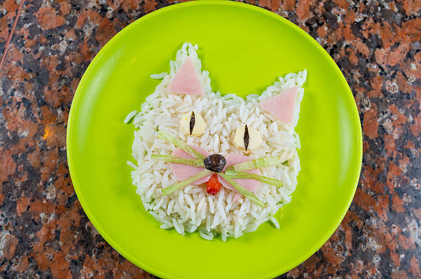 Animated food cat made out of rice, ham and lettuce
