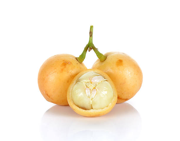 istock Mafai or Baccaurea ramiflora isolated on white background 479660072